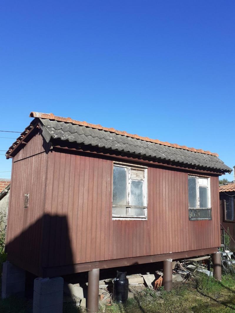 337999119 234800372417732 4348285934798588005 n