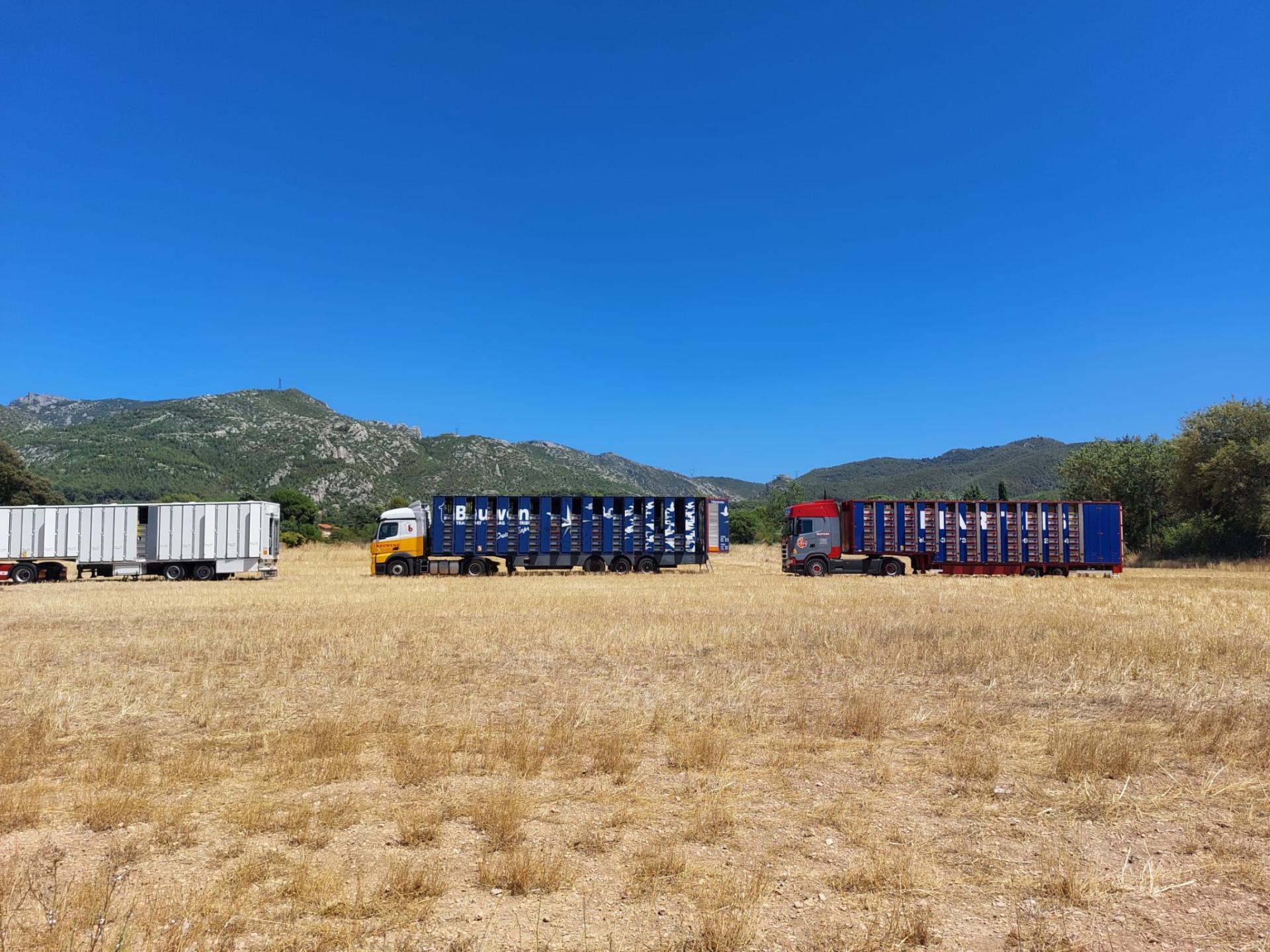 518731914 1279046940441202 6144618925759638933 n